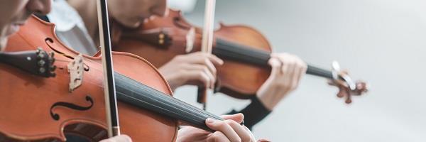 Consejos Para Violinistas Principiantes Encuentra Aqu La Gu A