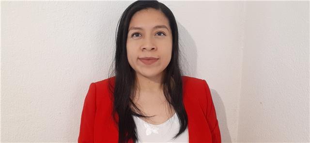 Profesora con pasión a las Tics ofrece clases a nivel preparatoria y adultos en Toluca y sus alrededores