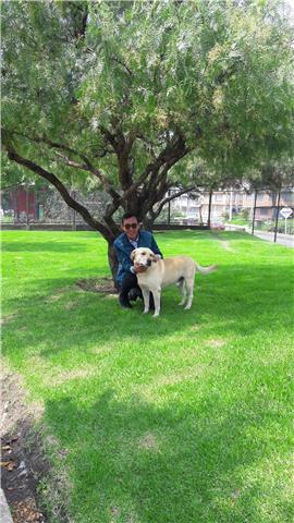 Licenciado en el área de humanidades-lengua castellana, tallerista de escritura creativa, actor y poeta