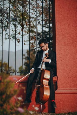 Profesor de música con años de experiencia entrega clases de guitarra, ukelele, teoría, violín o violoncello