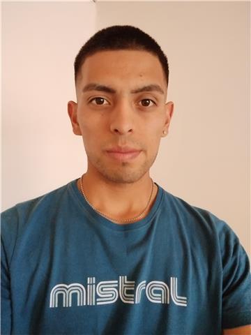 Estudiante avanzado de ingeniería. Neuquén Capital. Clases en pizarra online