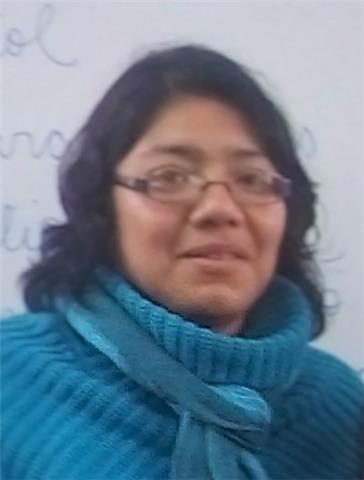 profesor de educación primaria