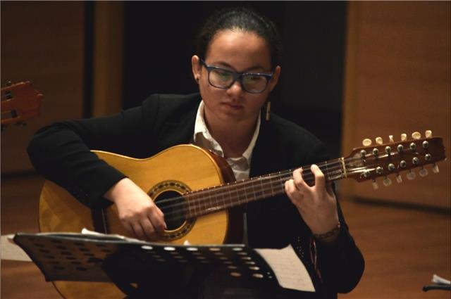 Guitarra, tiple, teoría musical, asesoría proyectos culturales