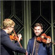 Clases de violín a distancia desde España - $