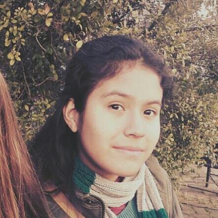 Actual estudiante de ingeniería. brindo apoyo escolar a niveles primario y secundario en todas las ciencias exactas y practicas del lenguaje