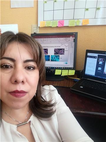 Profesora del área química experiencia profesional en la industria por 15 años en el área de investigación, clases a nivel universitario en todo el país a través de la plataforma en línea y presencial en la ciudad de Puebla