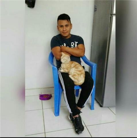 Joven universitario ofrece clases a niños de primaria