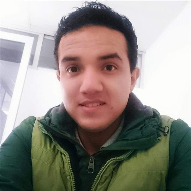 Ingeniero mecánico industrial con gusto por las matemáticas